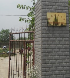 161103084219645.jpg